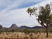 MK TLCCV Savannah Trip-101